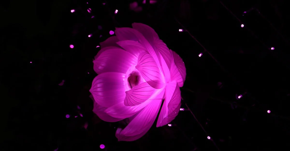 monespacesecuritas : accès sécurisé à vos services et informations personnalisées pour une gestion optimale de votre sécurité.