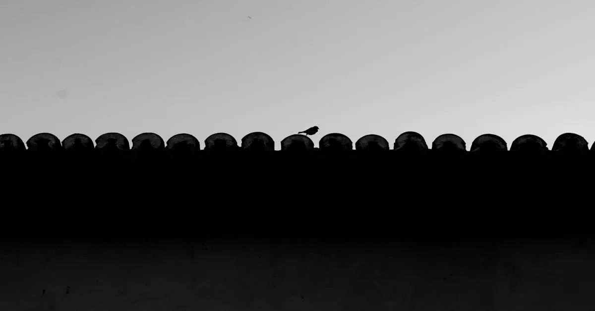 découvrez notre évaluation complète de tradelin, analyse des fonctionnalités, avantages et avis pour mieux comprendre cette plateforme.