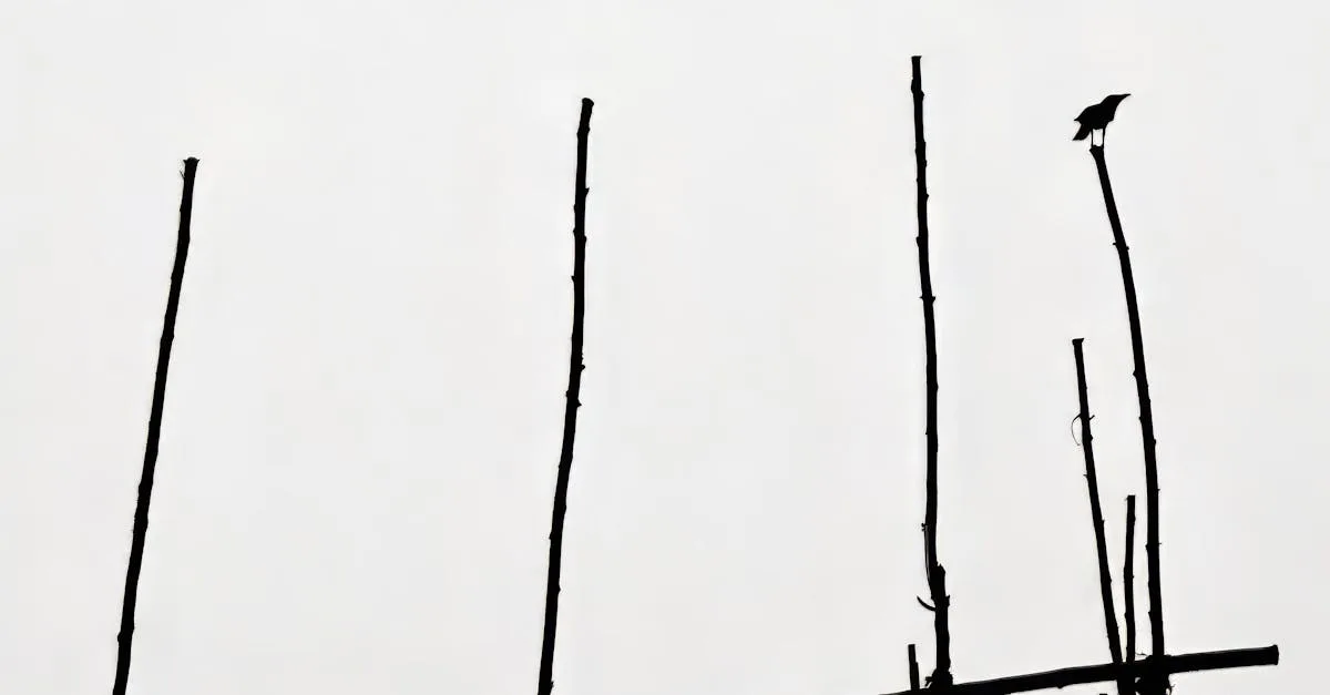 découvrez une évaluation complète de tradelin, ses fonctionnalités, avantages et inconvénients pour mieux comprendre cette plateforme.