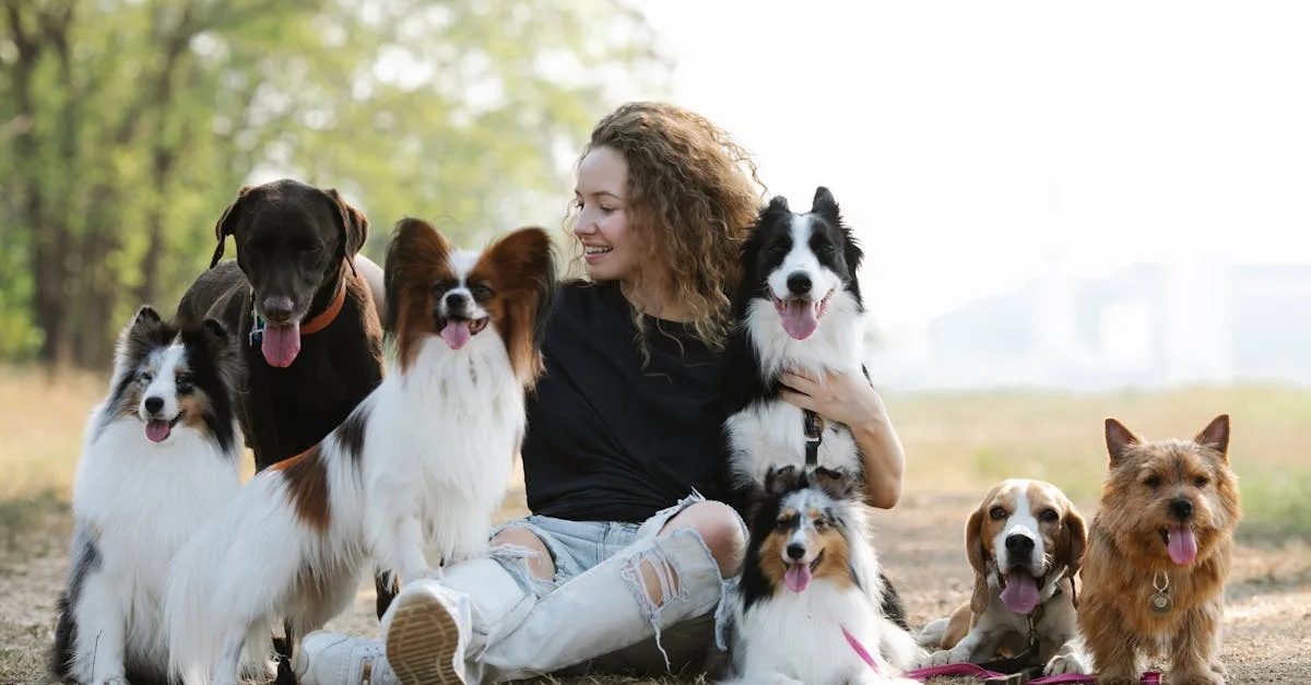 découvrez tout sur les différentes races de chiens, leurs caractéristiques, tempéraments et conseils pour choisir le compagnon idéal.