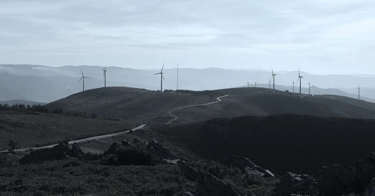 découvrez les dernières avancées en innovation écologique pour un avenir durable et respectueux de l'environnement.