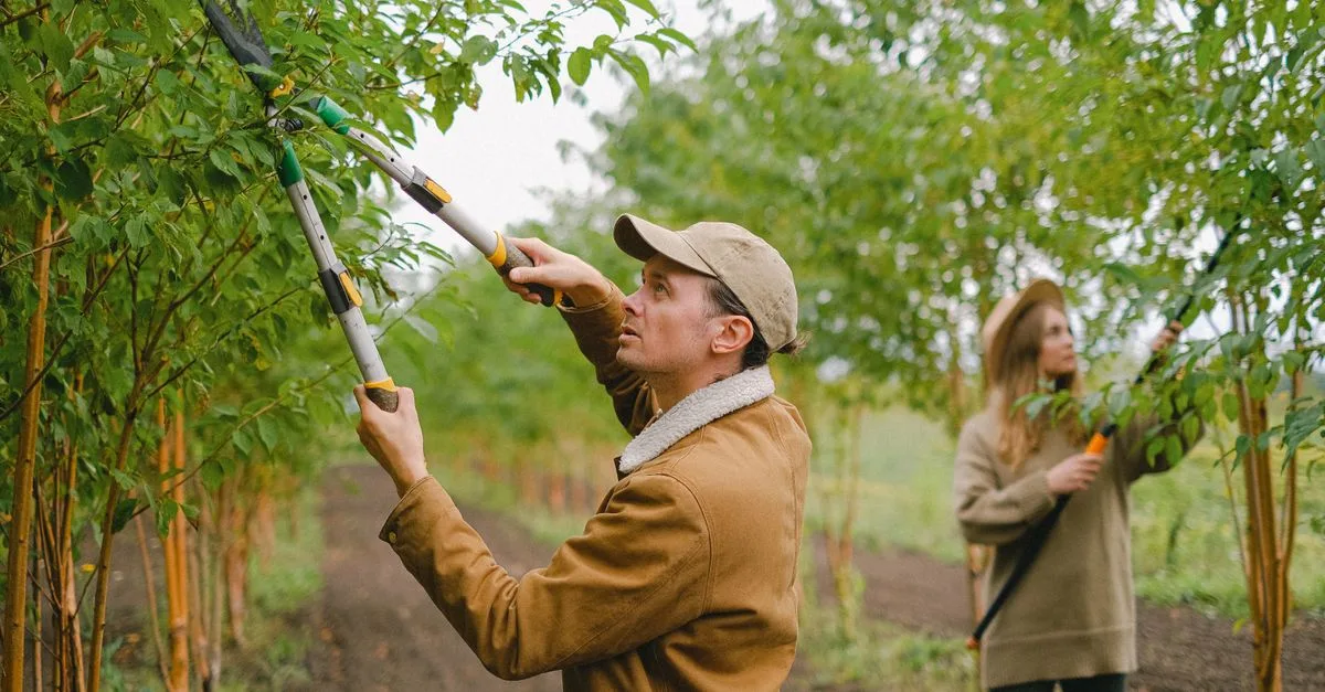 découvrez nos conseils et techniques pour la taille des plantes et arbres afin de favoriser leur croissance et leur santé.
